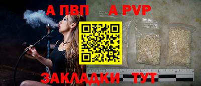 не бодяженный Кингисепп