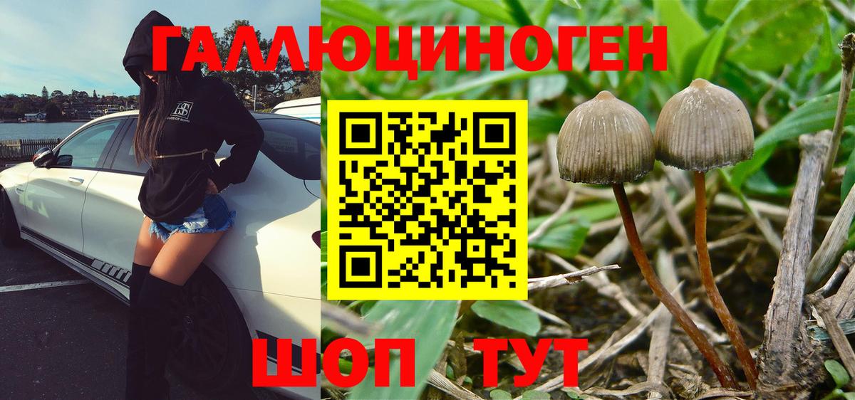 Псилоцибиновые грибы ЛСД Клин