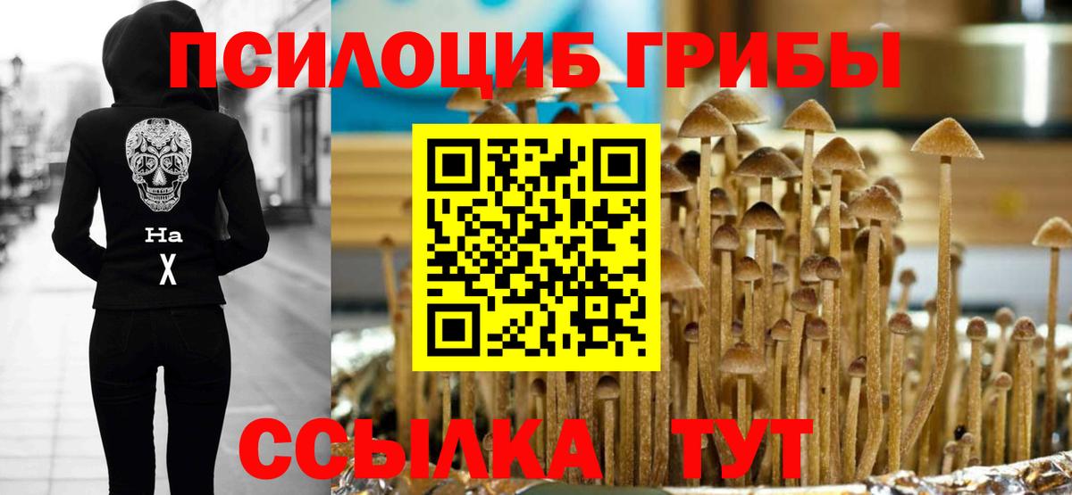 Псилоцибиновые грибы MAGIC MUSHROOMS  Вход с VPN  Галлюциногенные грибы ЛСД  Клин 